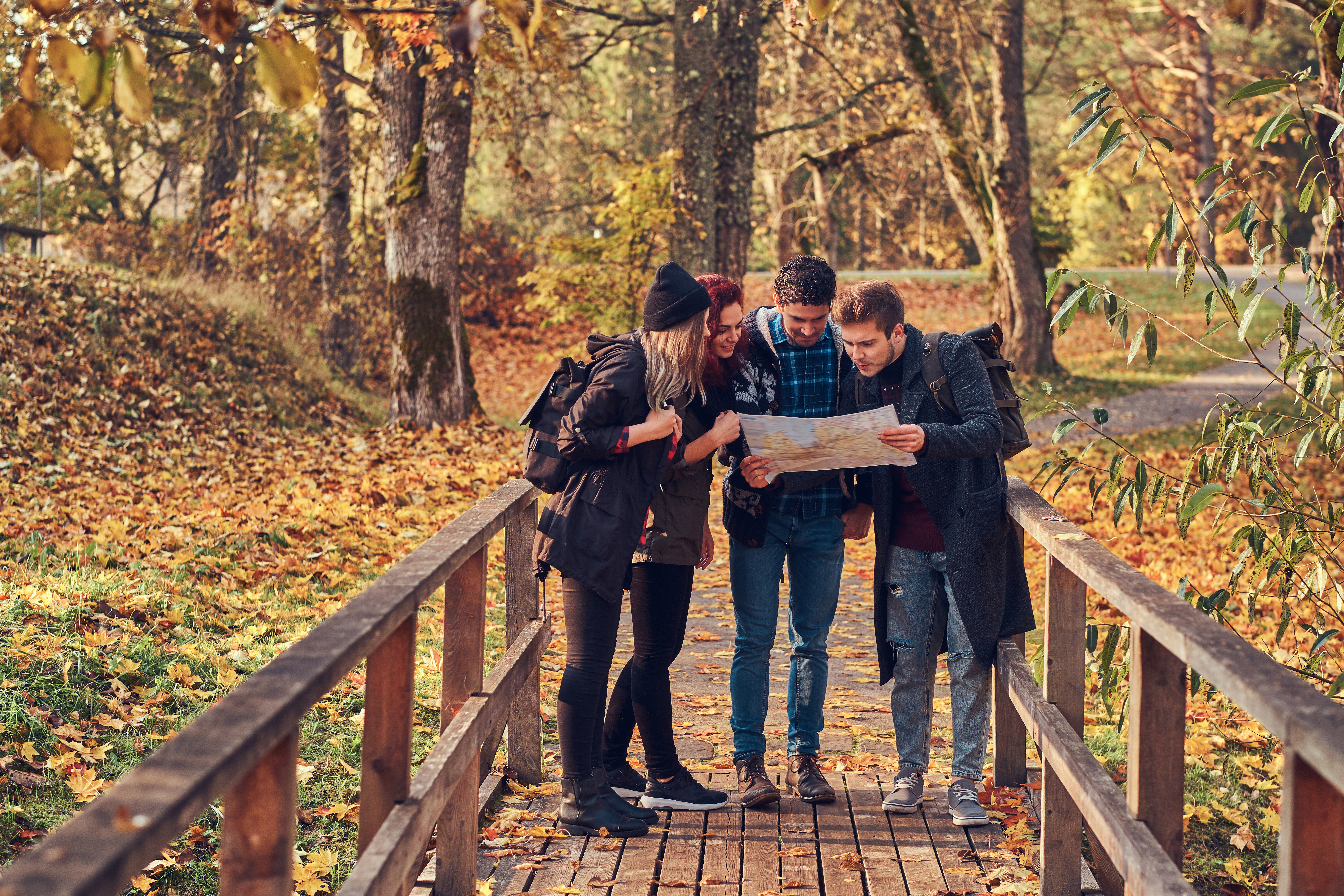 travel-hiking-adventure-concept-group-young-friends-hiking-autumn-colorful-forest-looking-map-planning-hike.jpg
