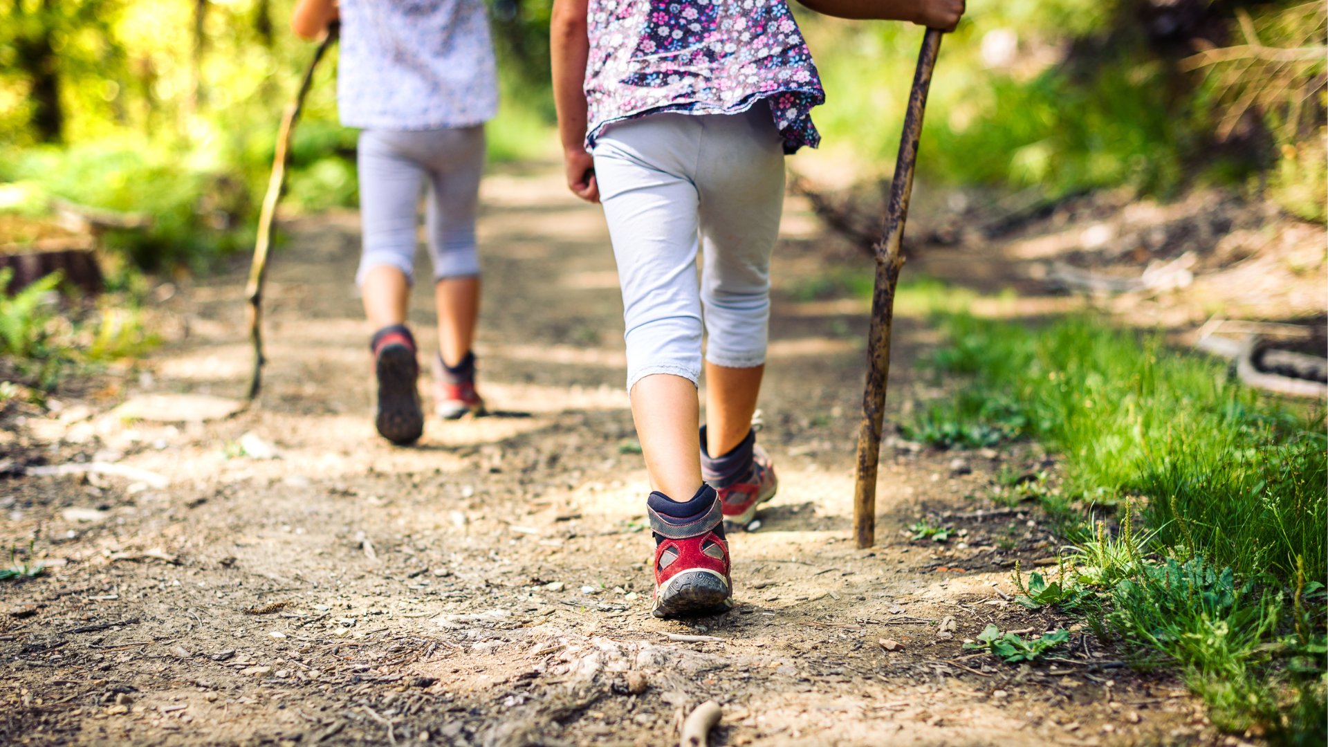 nyári veszély kép2.png