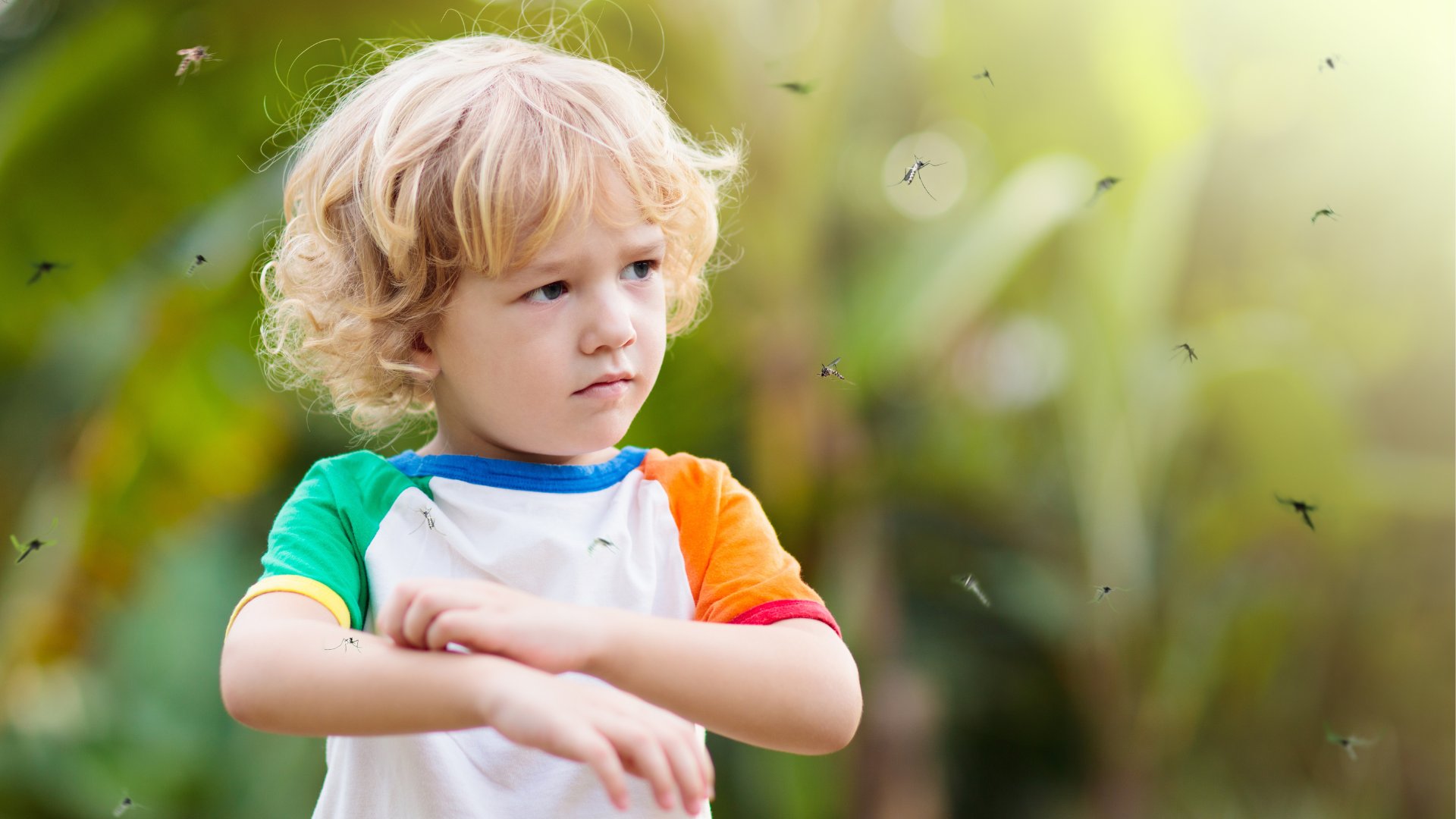 nyári veszély kép3.png